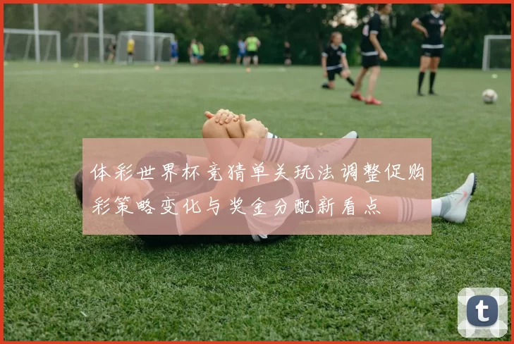 体彩世界杯竞猜单关玩法调整促购彩策略变化与奖金分配新看点