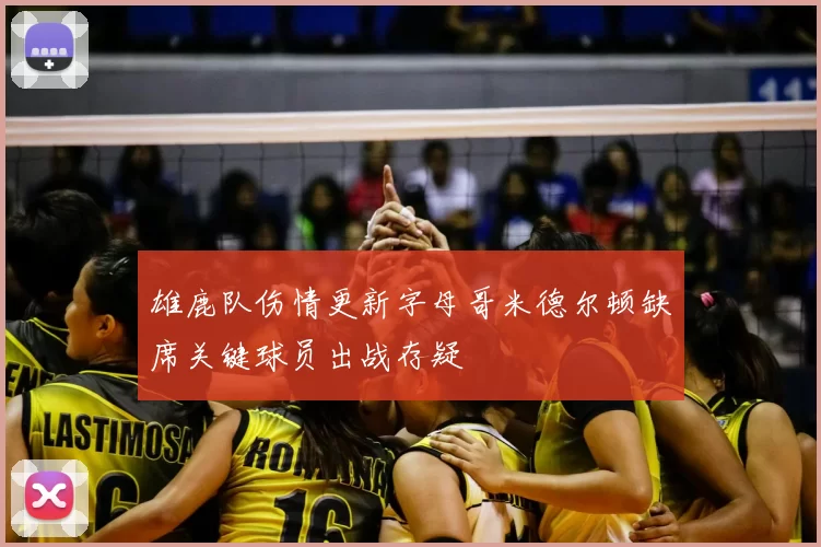 雄鹿队伤情更新字母哥米德尔顿缺席关键球员出战存疑