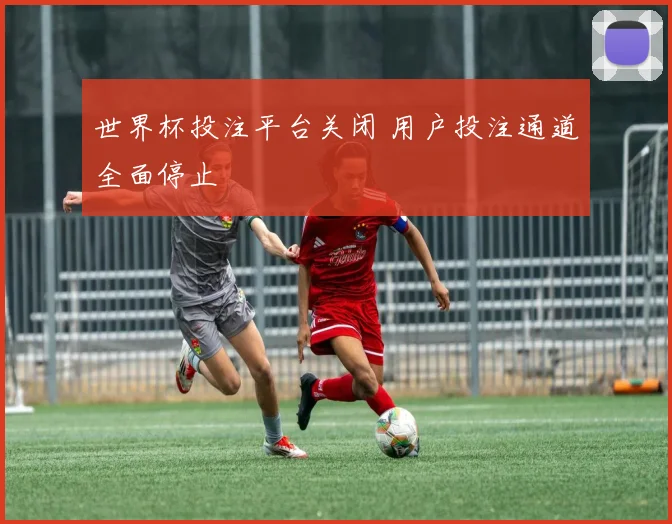 世界杯投注平台关闭 用户投注通道全面停止