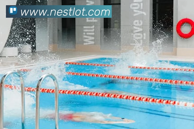 App Interface Preview